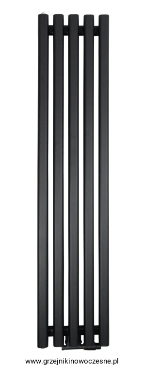 Grzejnik pionowy Regnis LAZUR 1000x330  ( moc 428 W )