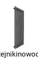 Grzejnik pionowy Regnis LAZUR 1200x330  ( moc 517 W )  