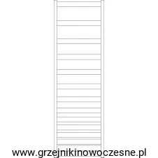 BELTI 1573.webp