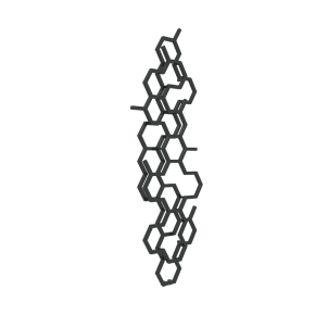 HEX 1700x573.png