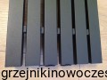 Grzejnik pionowy Regnis LUXAR 1000x290  ( moc 438 W )   