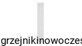 Grzejnik pionowy Regnis LUXAR 1400x290  ( moc 590 W )    
