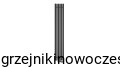 Grzejnik pionowy Regnis LUXAR 1600x290  ( moc 643 W )    