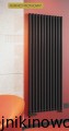 Grzejnik pionowy TERMIX FERMO 1800x280  ( moc 806 Wat ) 