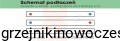 Grzejnik pionowy TERMIX FERMO 1400x380  ( moc 836 Wat )   