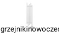Grzejnik dekoracyjny łazienkowy Regnis PORK 1600x320   ( moc 852 W )  rozstaw 50 mm