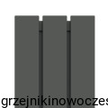 Grzejnik pionowy TERMIX PIT DOUBLE 1400x230  ( moc 771 Wat )  