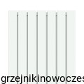 Grzejnik pionowy TERMIX PIT DOUBLE 1800x550  ( moc 2099 Wat )    