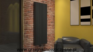 Grzejnik nowoczesny TERMIX KAIR 1600x655  ( moc 3797  Wat )    