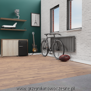 Grzejnik dekoracyjny TERMIX BRADONE  580x1350  ( moc 1204 Wat )    