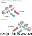 VARIO TERM - zestaw termostatyczny zespolony TWINS  - CZARNY MAT