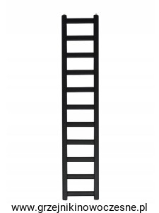 Grzejnik  Regnis DRABINA  920x540 ( moc 357 W ) - rozstaw przyłączy dolnych 200 mm + kolory    