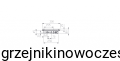Grzejnik kanałowy Regulus TRIOVENT 80/300/1250 ( 230 V)