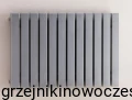 Grzejnik pionowy Komex WEZUWIUSZ  900x435  ( moc 768  Wat )  