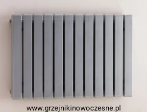 Grzejnik pionowy Komex WEZUWIUSZ  900x660 ( moc 1151 Wat )  