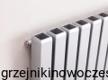 Grzejnik pionowy Komex WEZUWIUSZ  900x735 ( moc 1279 Wat )  